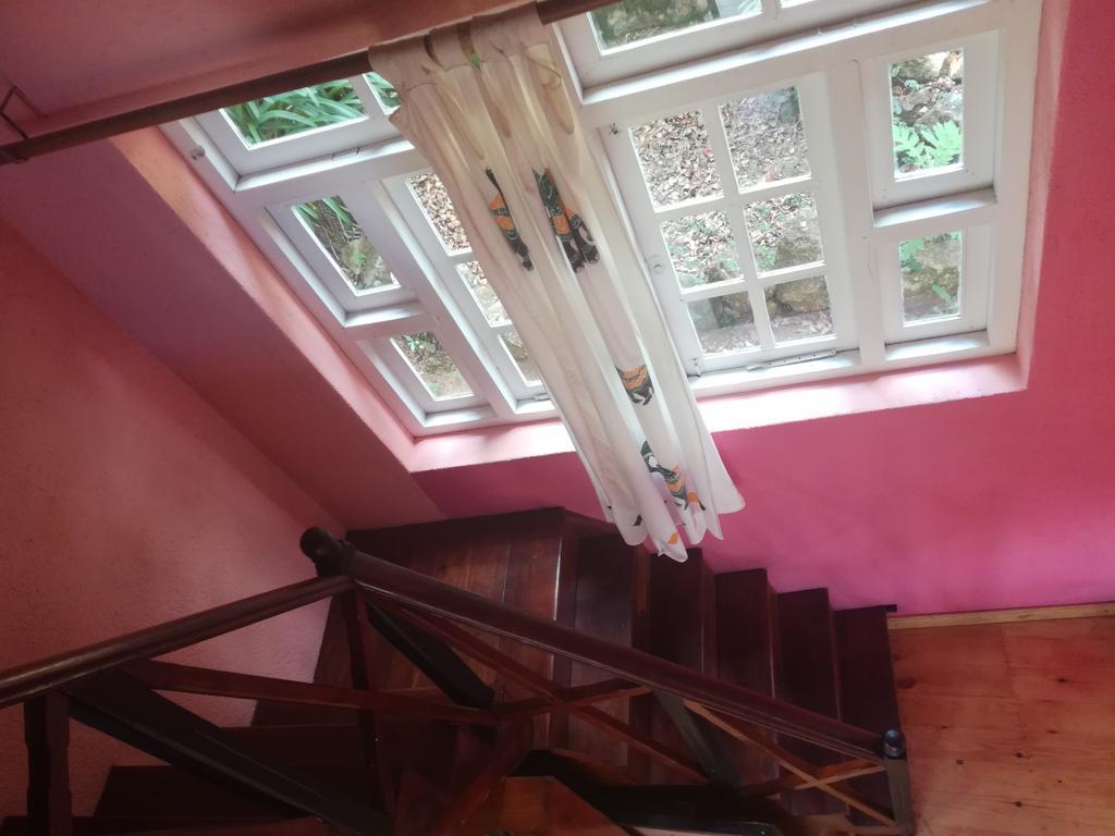 Sincere Wilderness Home Stay Nuwara Eliya Exterior photo